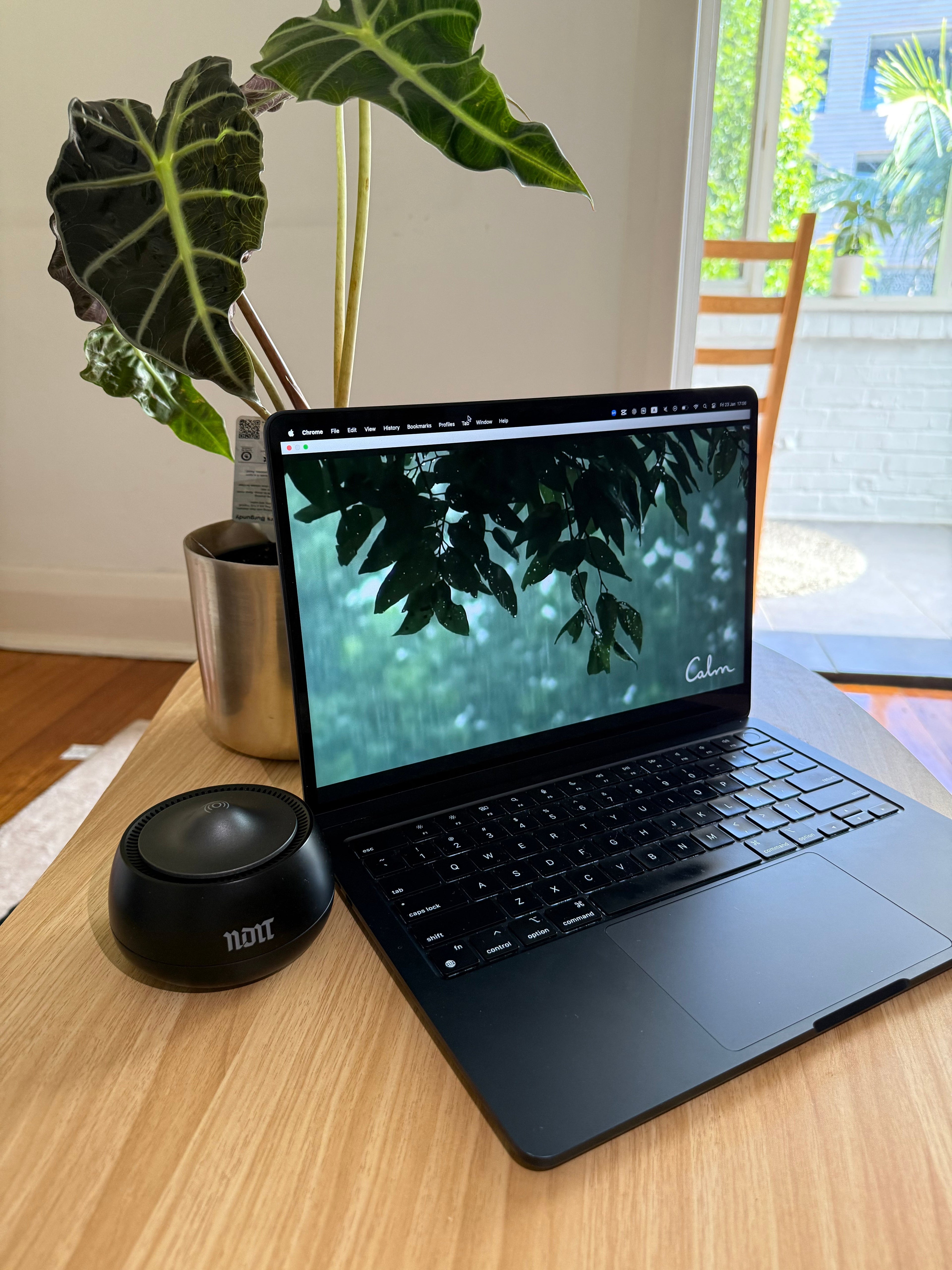 Work From Home? 5-Minute "Sound Reset" for After Meetings