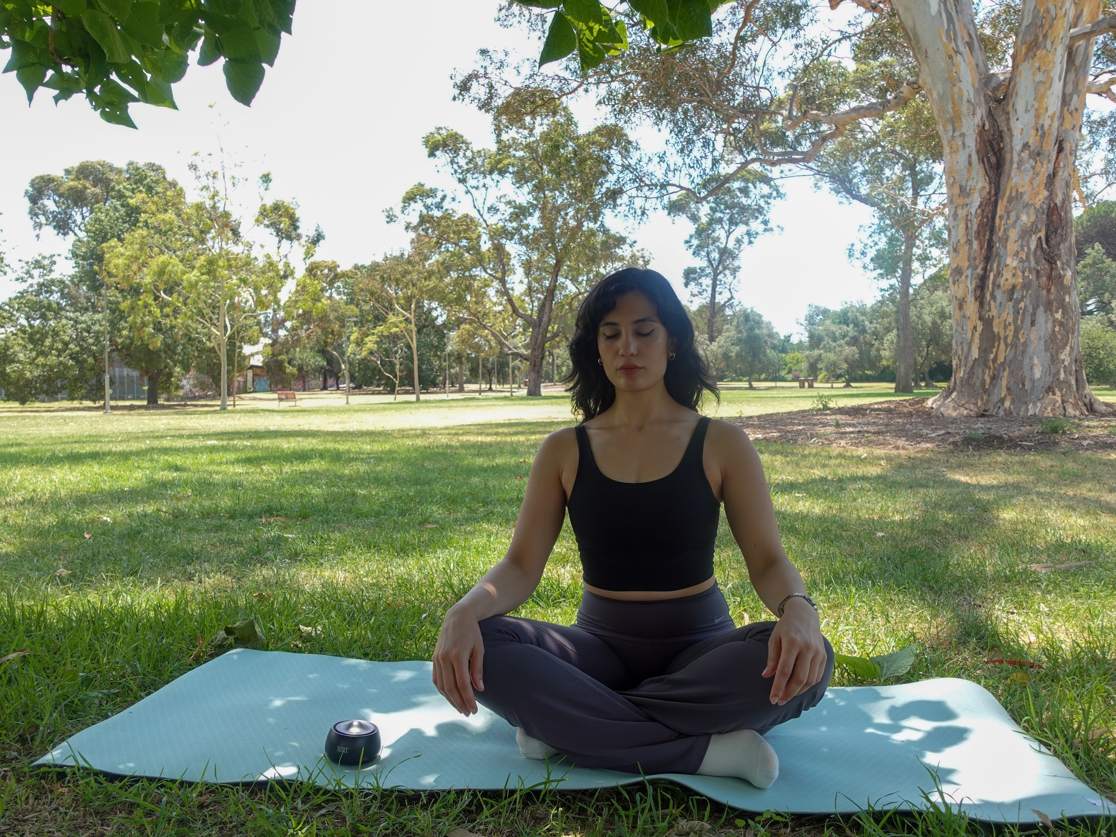 use zenbowl meditation in the park